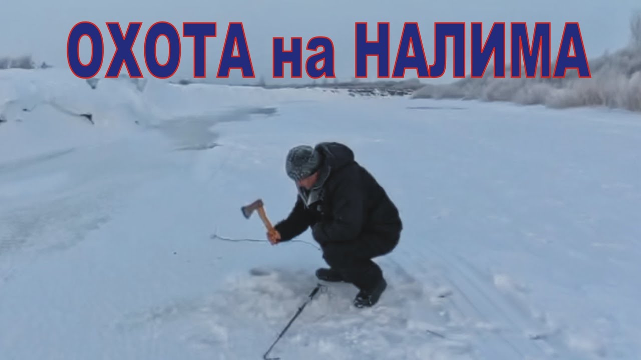 Дедовский способ поймать НАЛИМА и СУДАКА/ Ночной хищник на Нуре/ Зимние поставушки