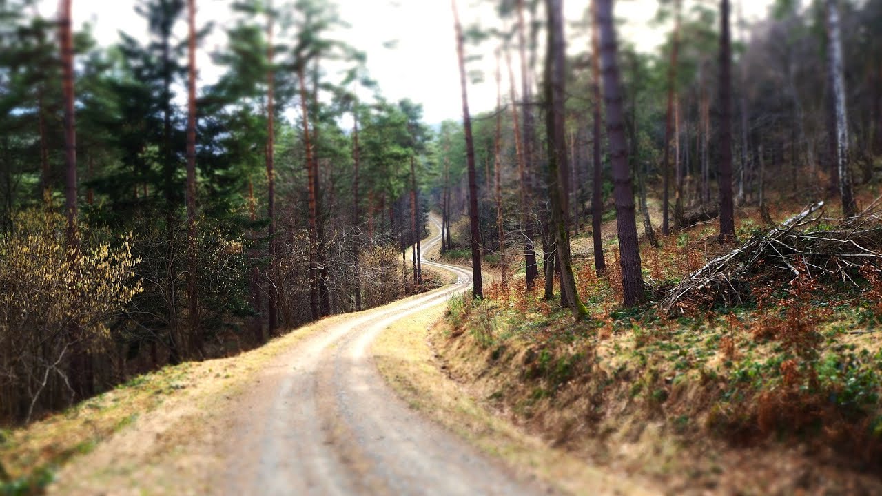 Owczary (Rychwałd|) czyli cisza i spokój Beskid Niski