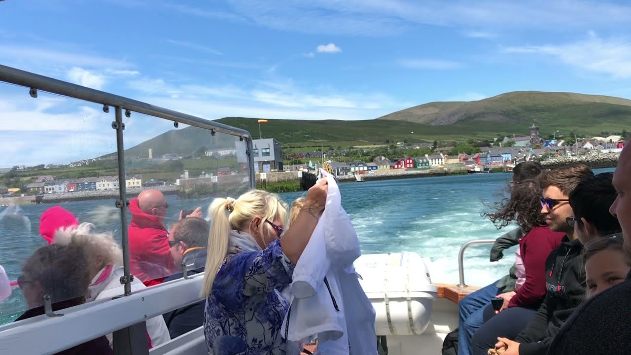 Things to do in Ireland - Dolphin Boat Tour In Dingle Ireland 2