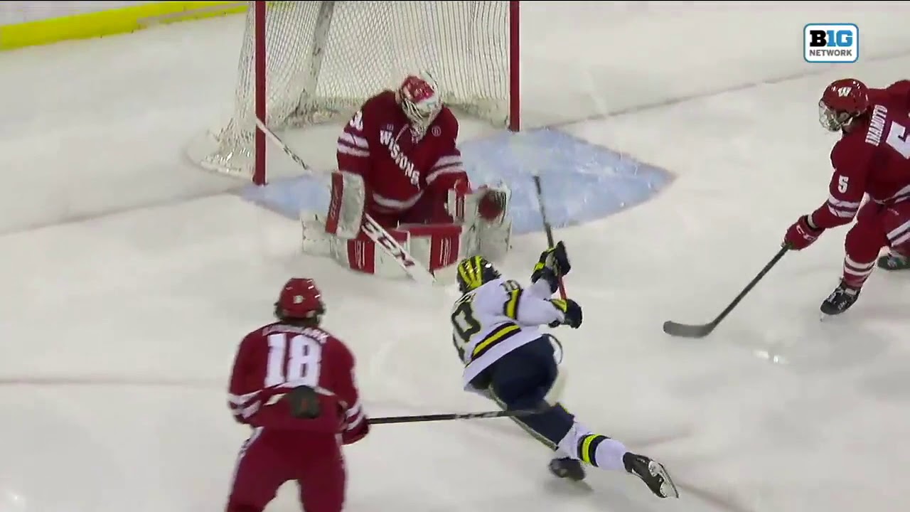 Michigan vs. Wisconsin Highlights 2/13