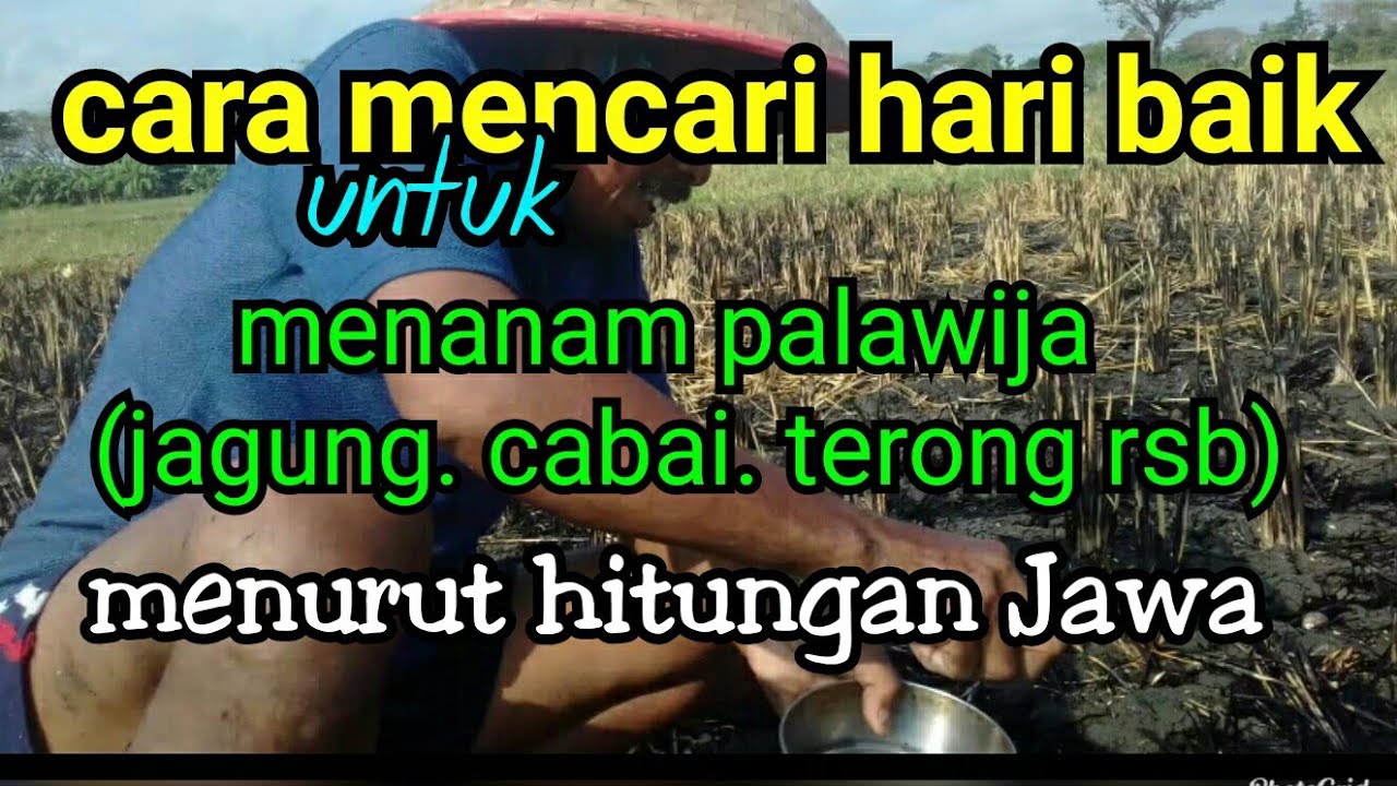 cara mencari hari baik untuk menanam palawija menurut hitungan Jawa