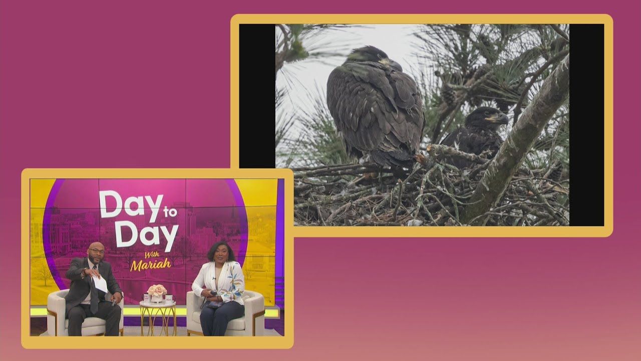 Ben on the Go: LOOK AT THE BABIES!!!! | March 9, 2026 | Day to Day with Mariah