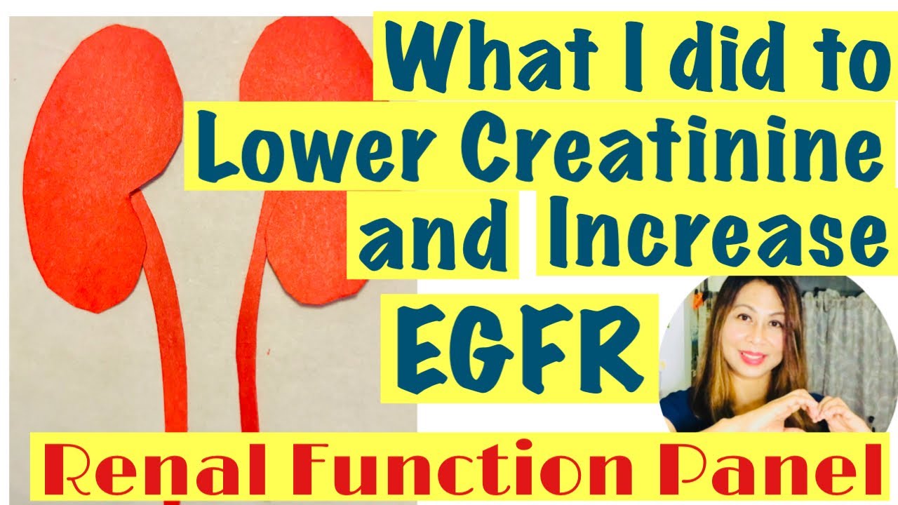 CKD | Latest Renal Function Panel Result | My EGFR is UP
