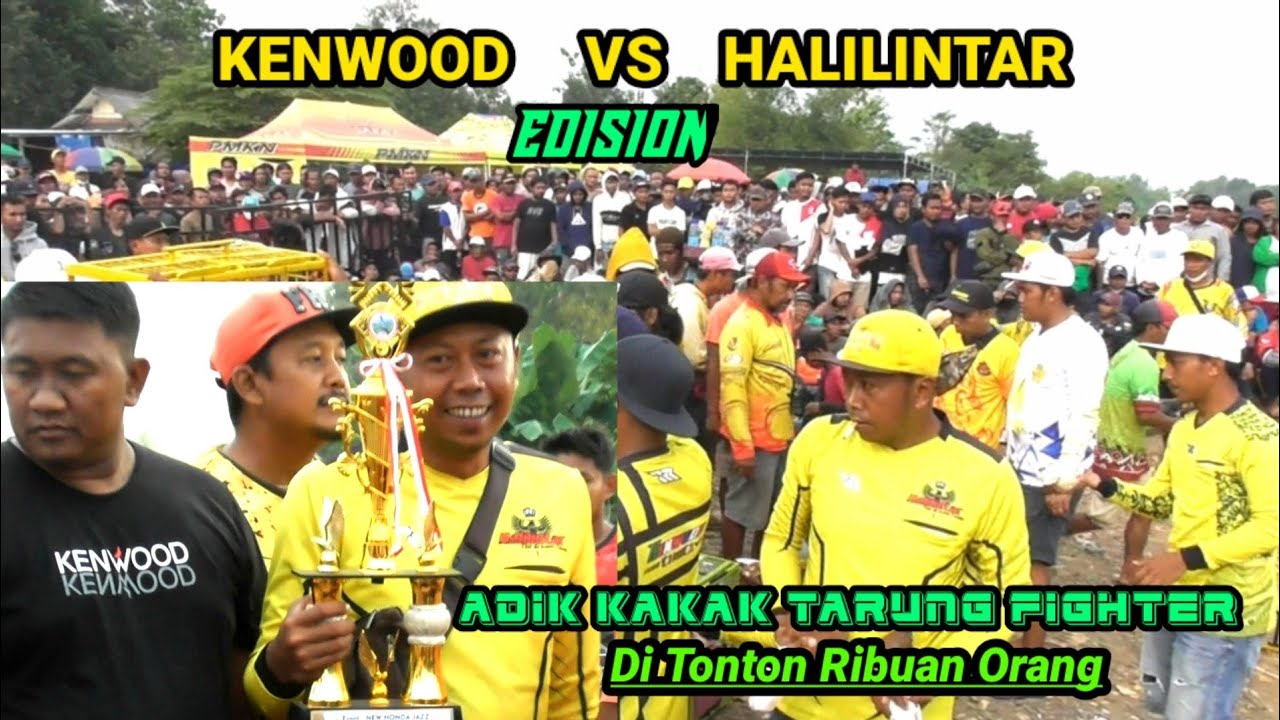 ❤️ADIK VS KAKAK FIGHTER‼️EDISI PLAYER KENWOOD DAN HALILINTAR ‼️EVENT HONDA JAZZ DI LAPKLOL LEGOK