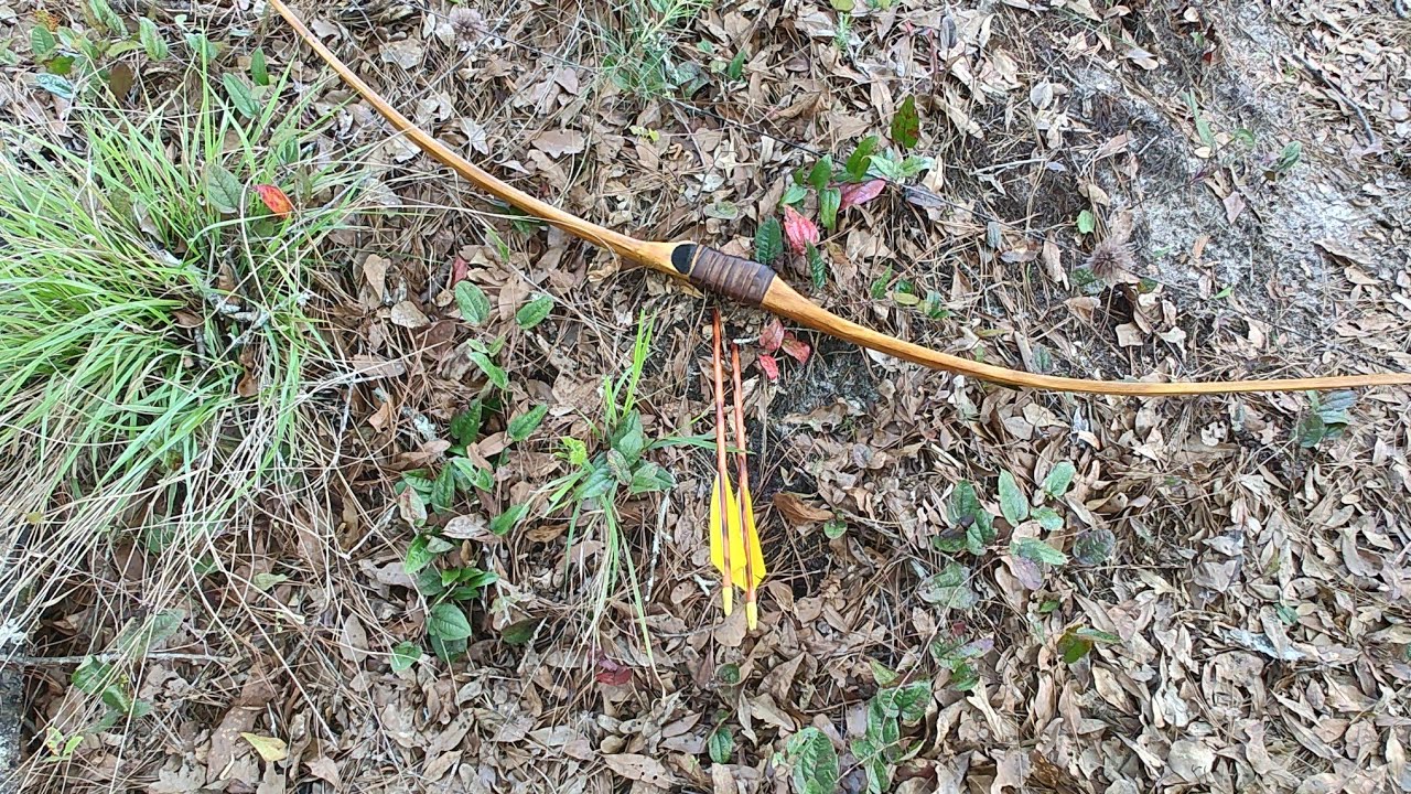 Stumping with my Osage Selfbow