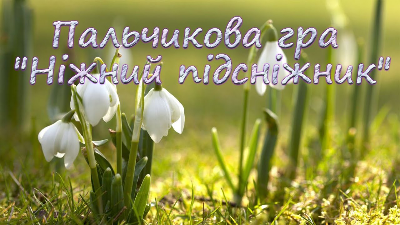 Пальчикова гра 