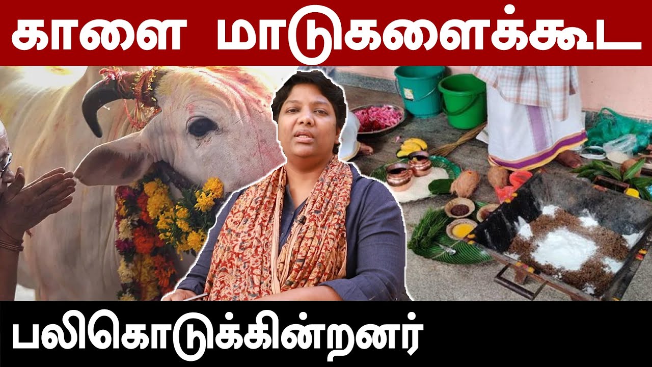 தாயத்து மந்திரக் கயிறுகள் இதெல்லாம் வேலை செய்யுமா...|Dr.shalini | Mindbook|