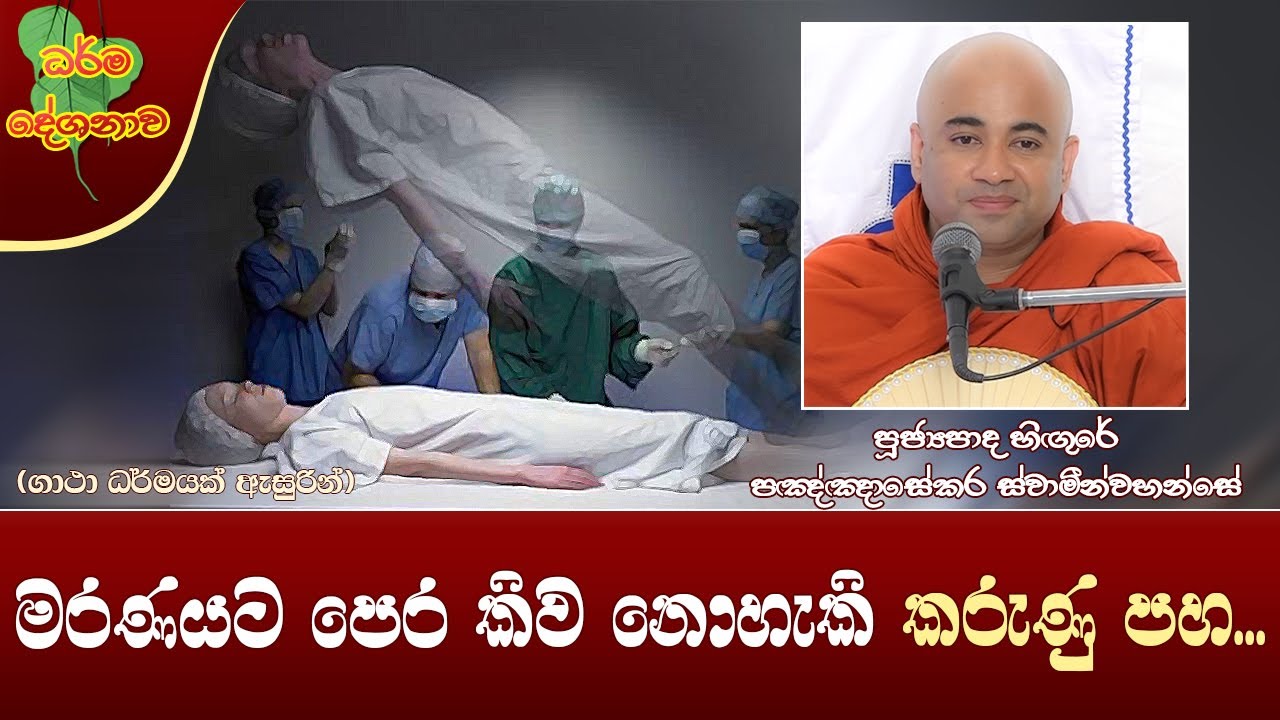Ven Higure Pagngnasekara Thero | 2023-02-02 | 12:00 PM (මරණයට පෙර කිව නොහැකි කරුණු පහ...)
