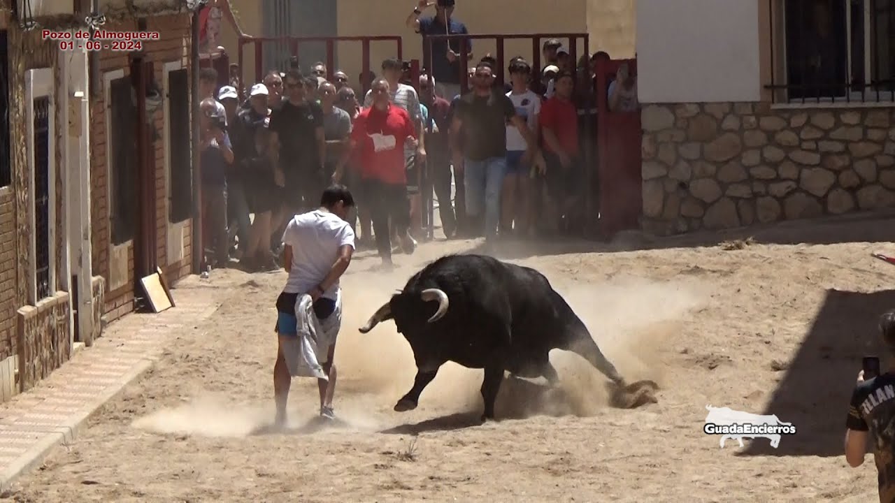 Buen Encierro Pozo de Almoguera 01-06-2024 GuadaEncierros