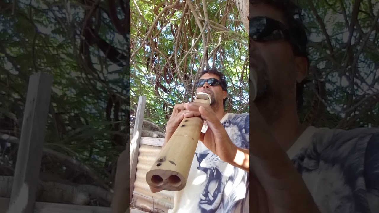 Tree house drone flootin 🌿🌲🌞☮️❤️🙏🪈🪈🪈