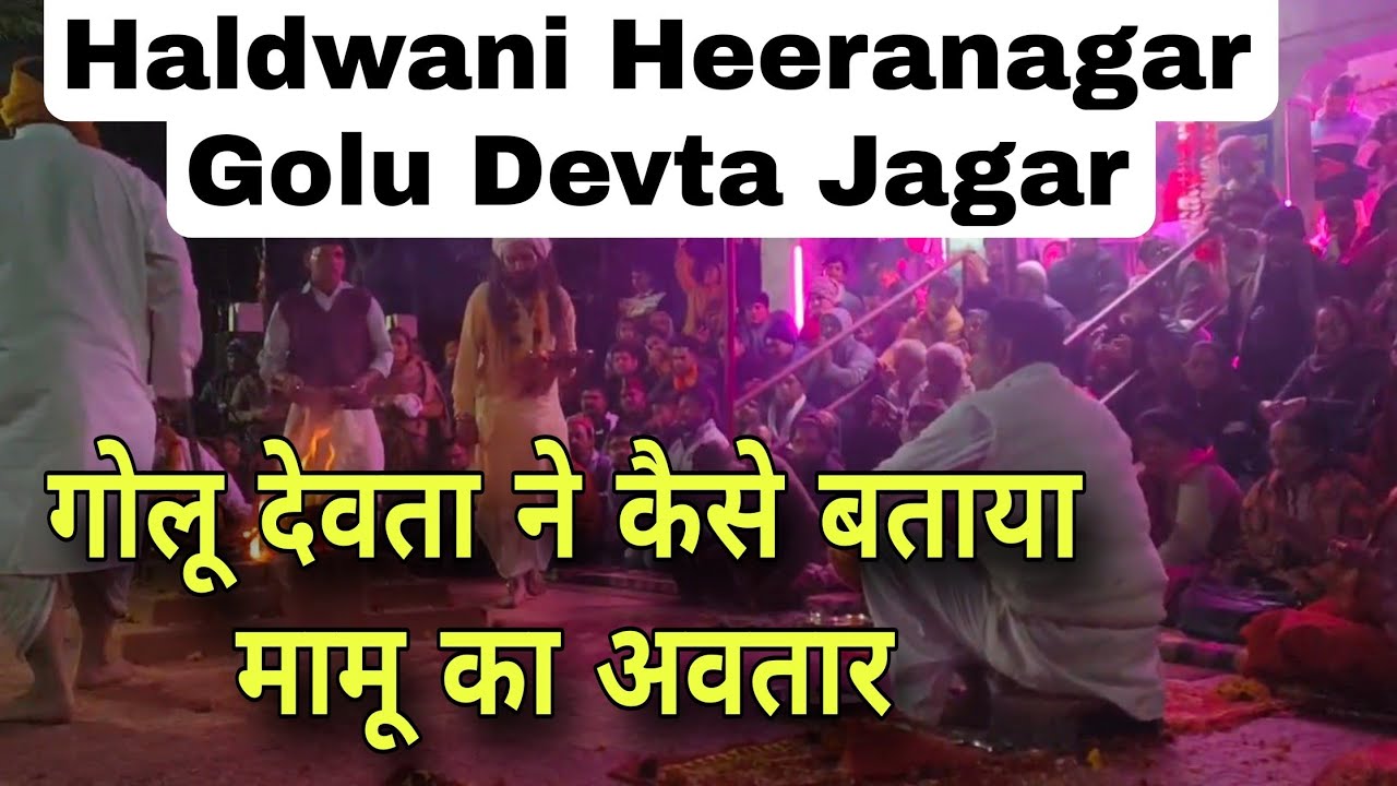 haldwani golu devta jagar | golu devta ki jagar pahadi | trending