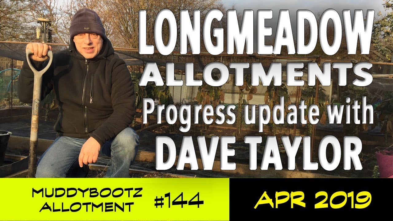 MuddyBootz Allotment #144 - Longmeadow Allotments - A Progress update
