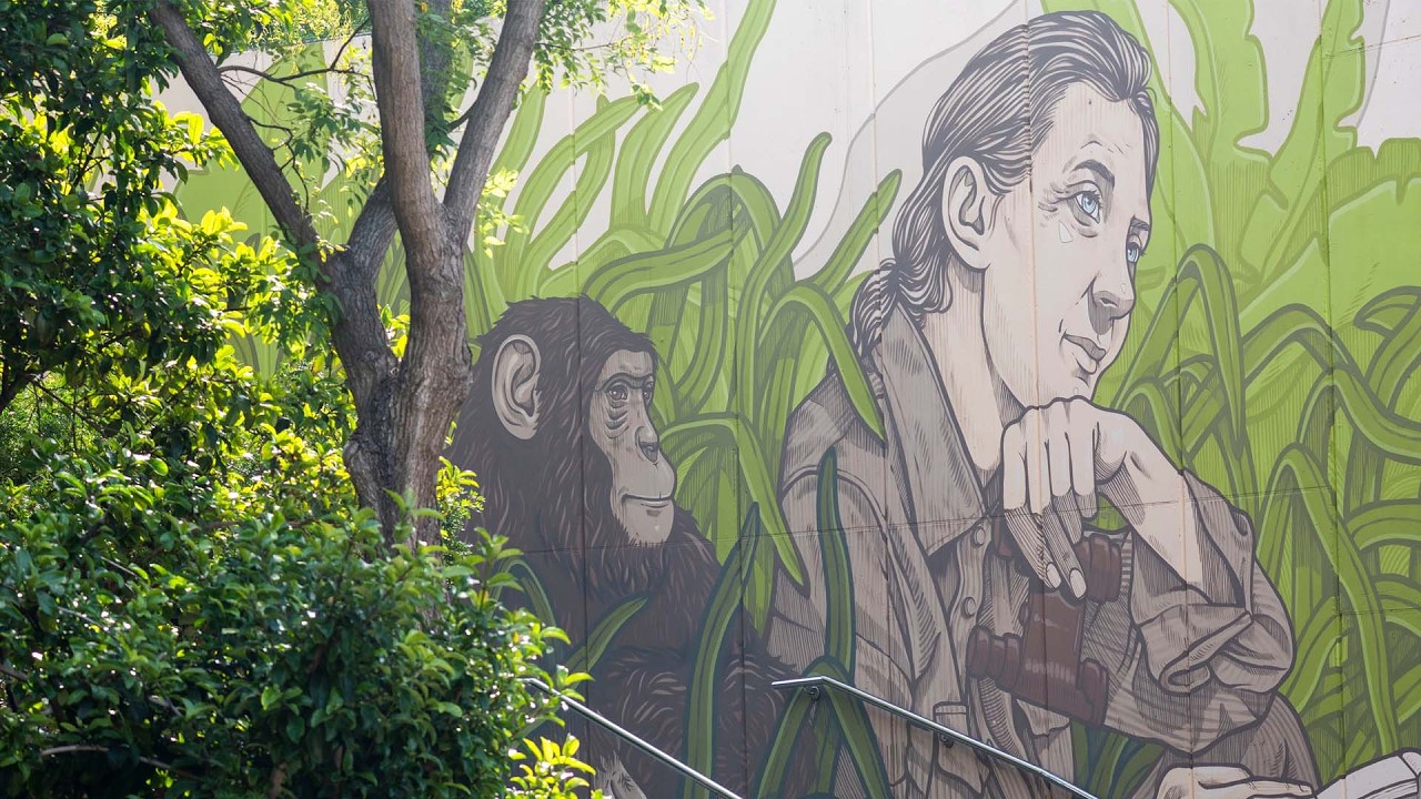 BIOPARC reivindica a científicas que abrieron camino y transformaron la conservación del planeta 🔬🌍