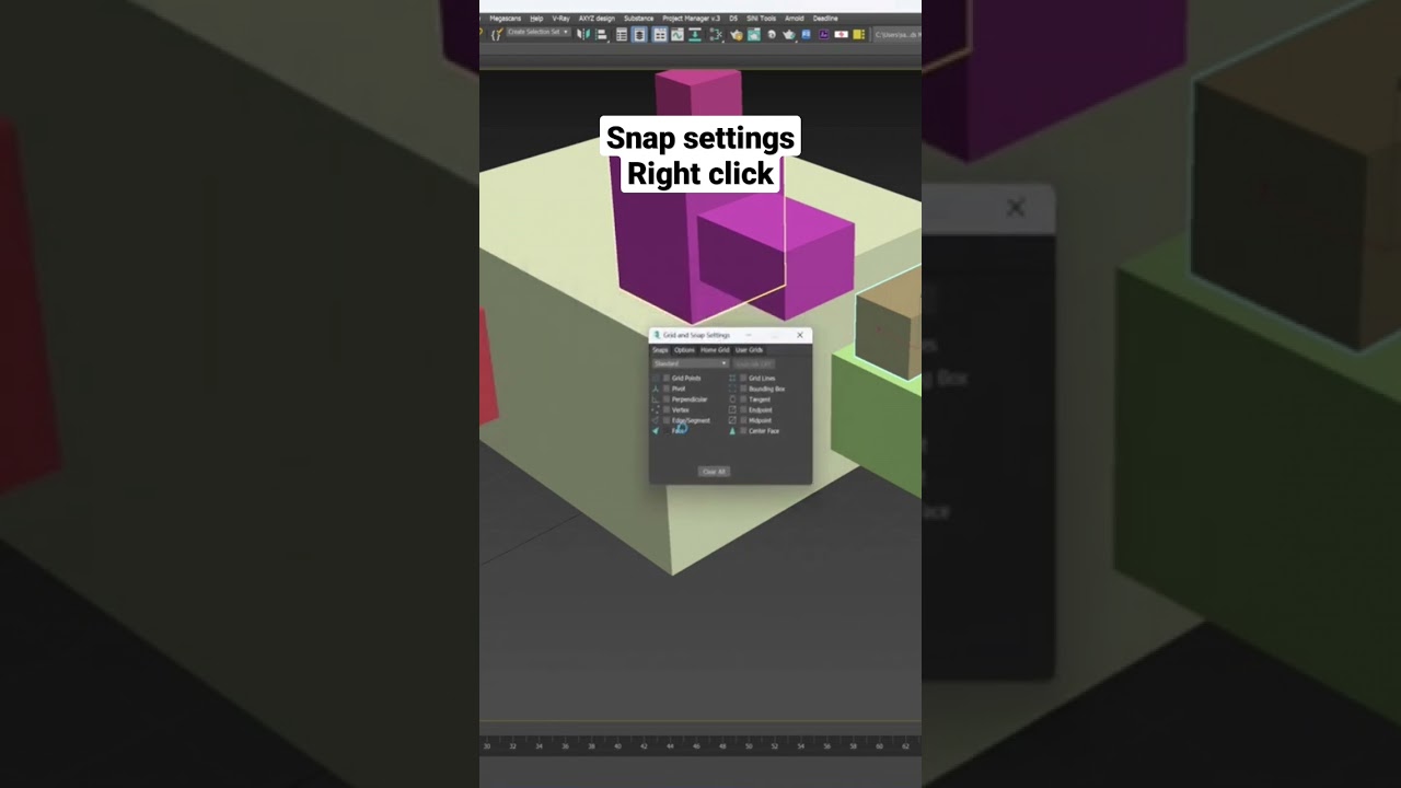 3ds max Snap settings