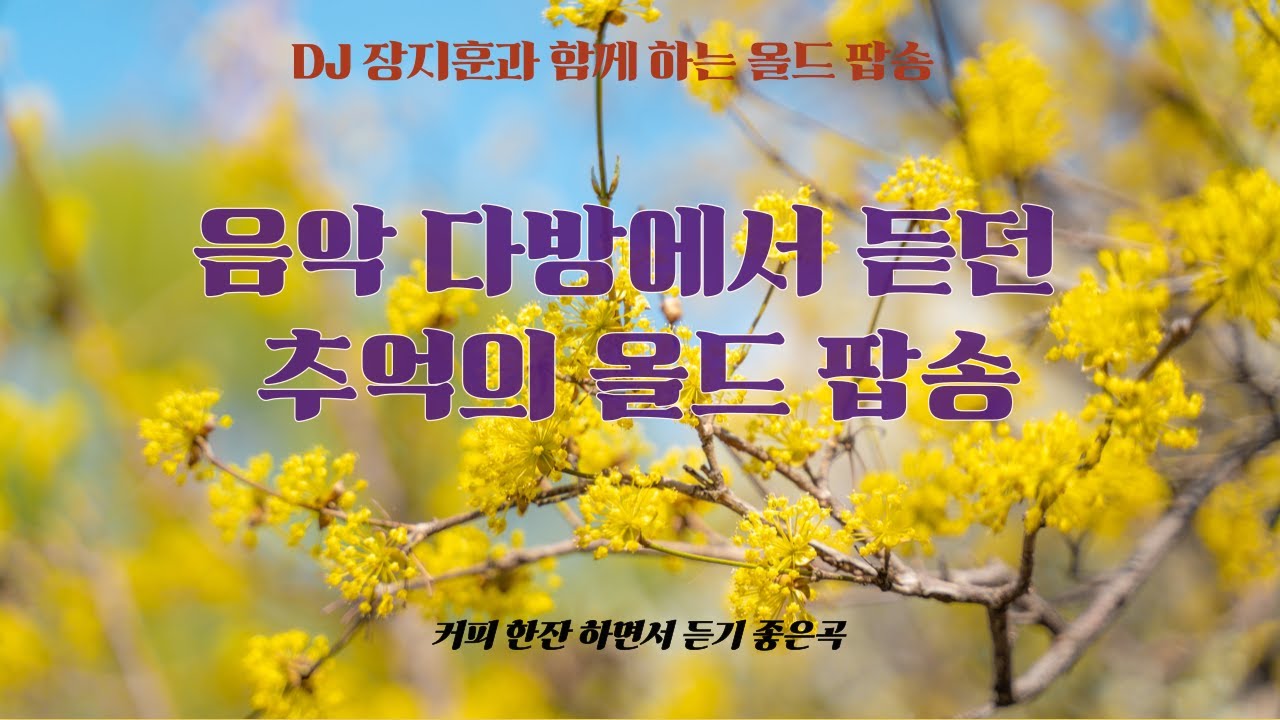 7080 음악 다방에서 듣는 올드 팝송