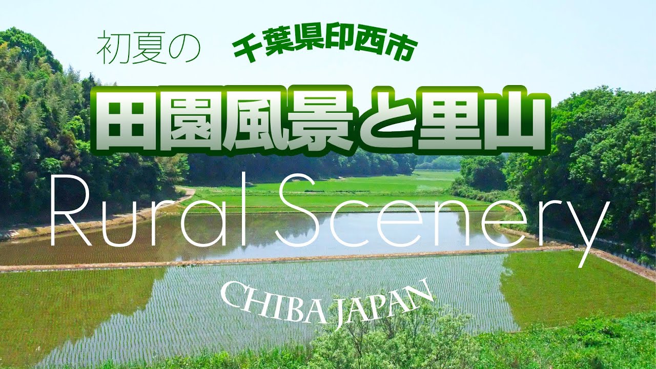 初夏の田園風景と里山をめぐる｜自然音｜千葉県印西市 Rural Scenery CHIBA JAPAN