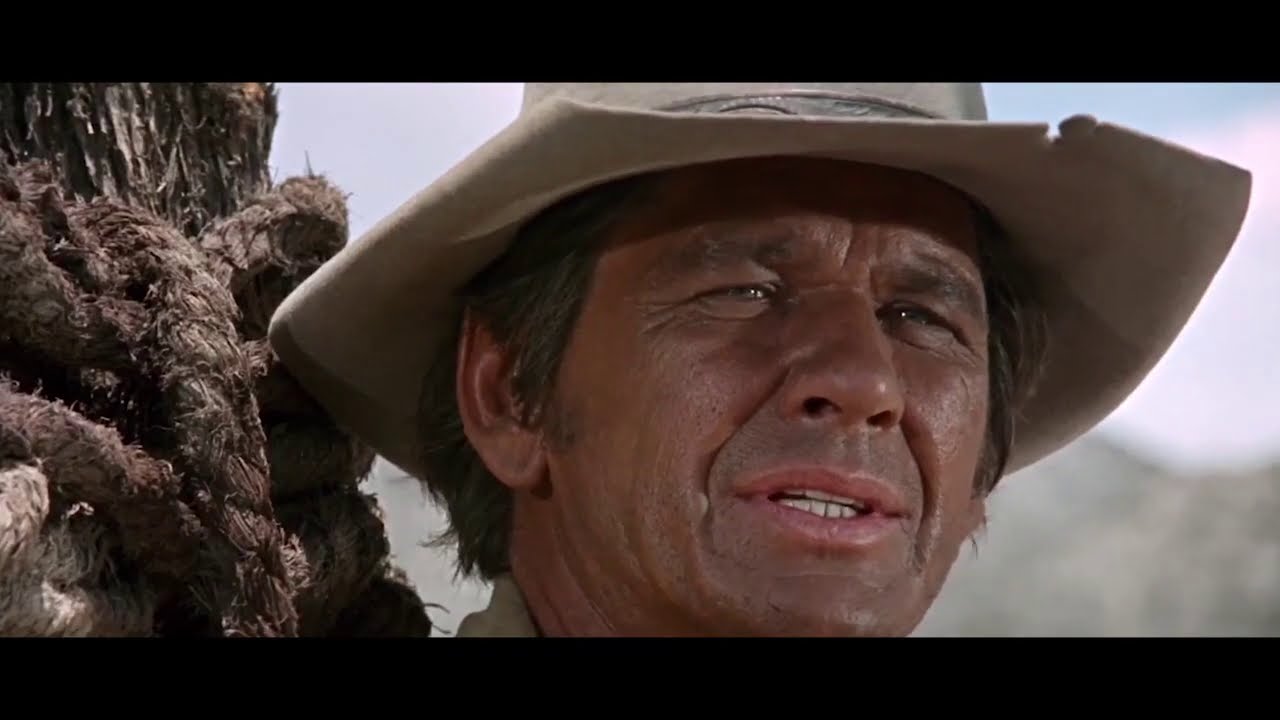 GRANDES TEMAS DEL WESTERN - PROMO