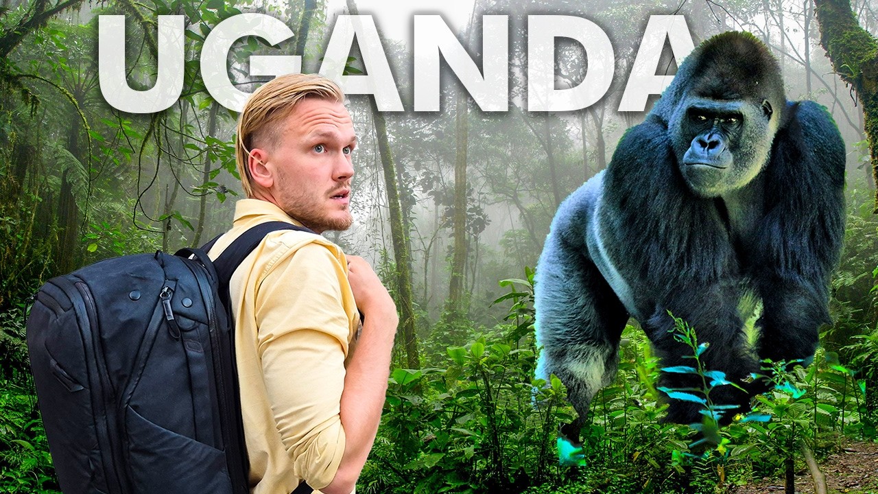 When Things Go Wrong While Gorilla Trekking in Africa