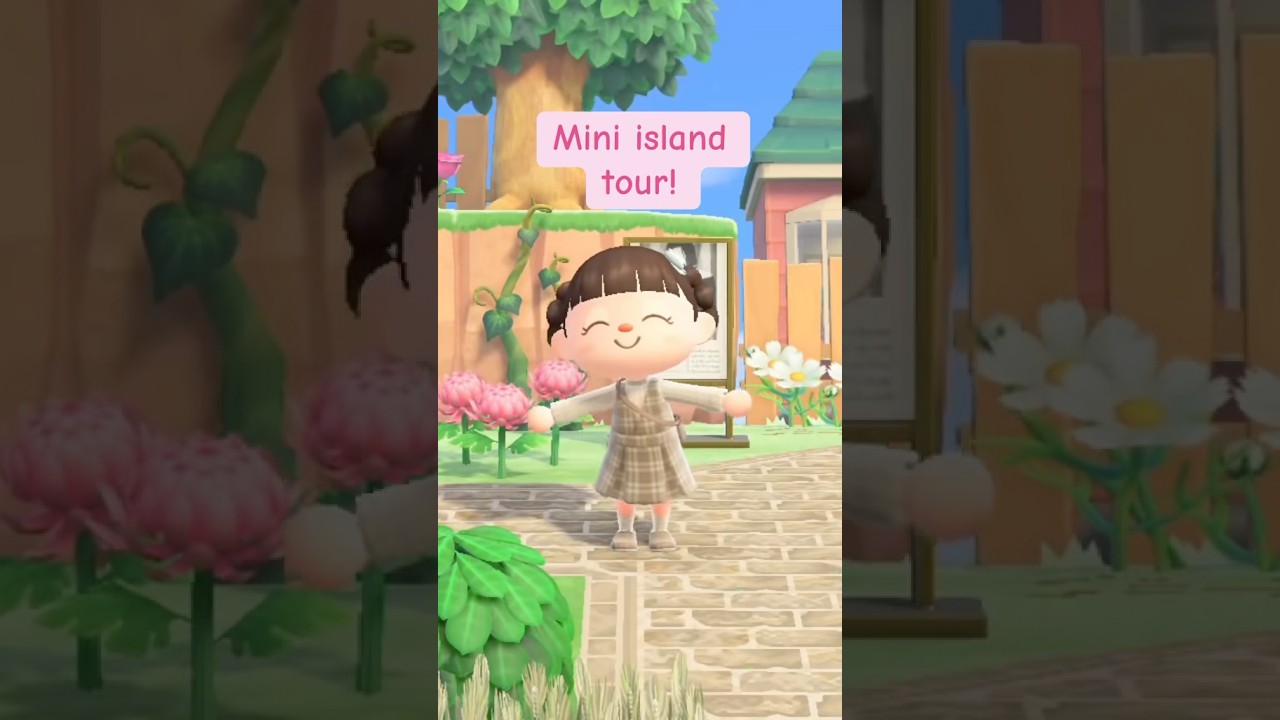 Animal Crossing Island Tour and Ideas!