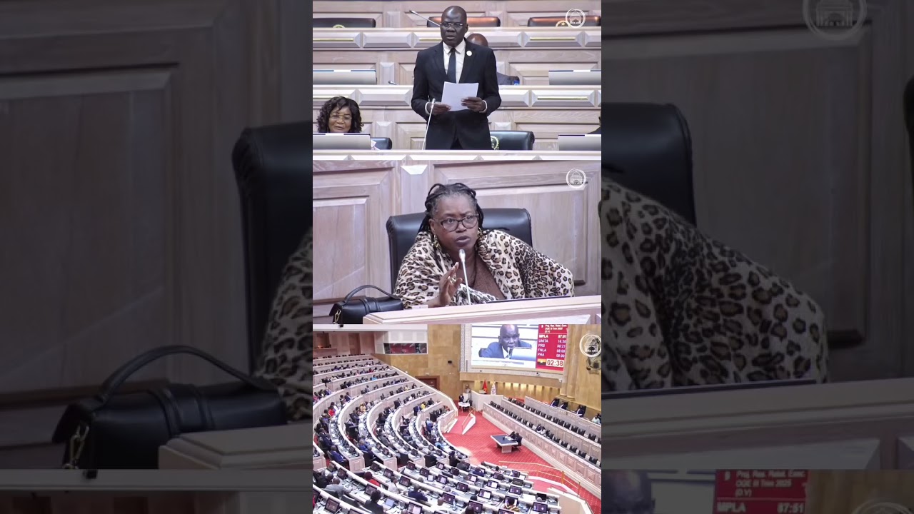 DEPUTADO DA UNITA, ENSINA COMO GOVERNAR 