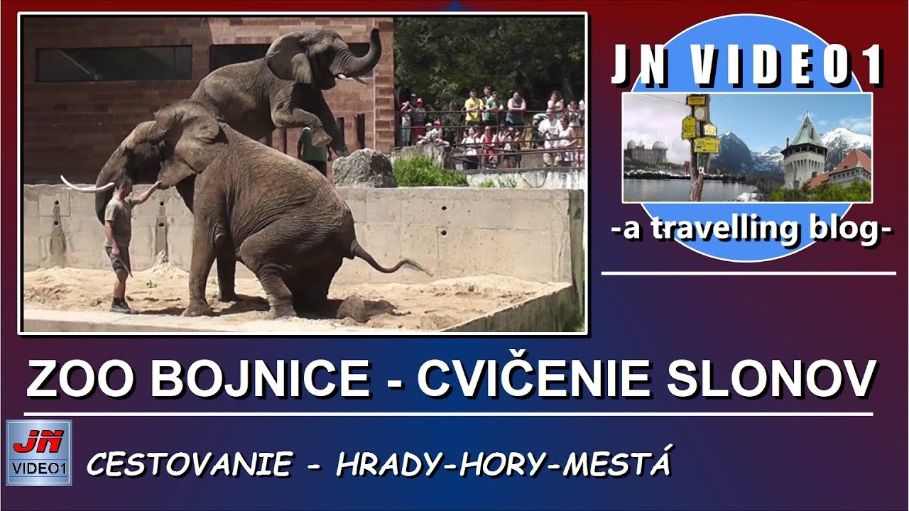 ZOO BOJNICE - CVIČENIE SLONOV