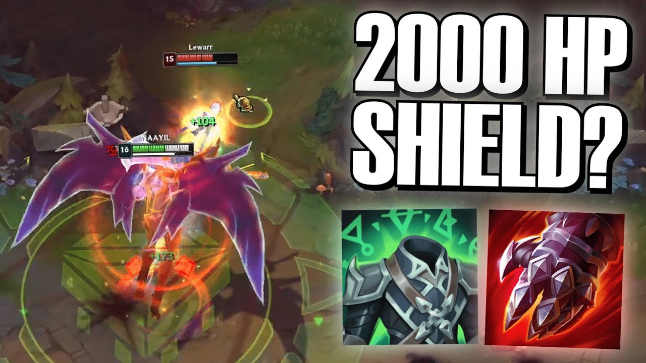 THESE SHIELD ARE WAY TOO CRAZY!