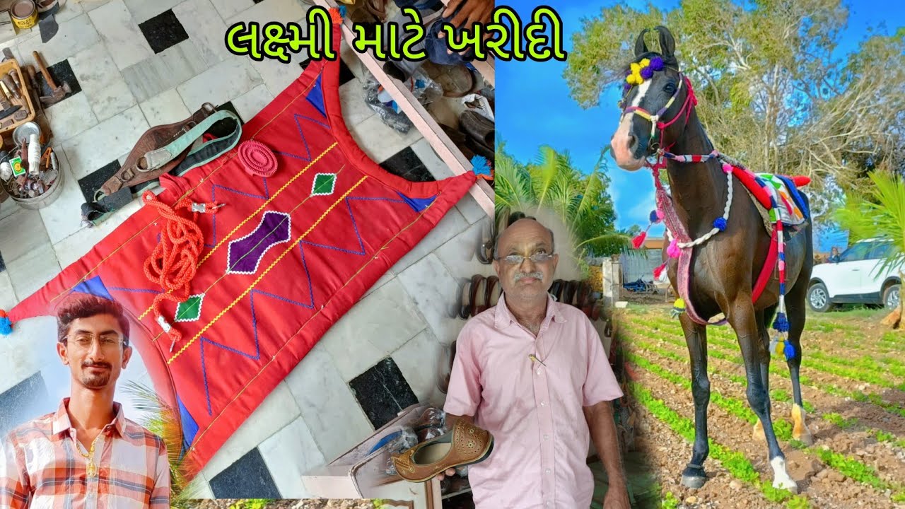 ઘોડા નો સામાન મળશે સાનતી લાલ પાસે . લક્ષ્મી માટે કરી ખરીદી #horselover #marvadihorse #horseriding