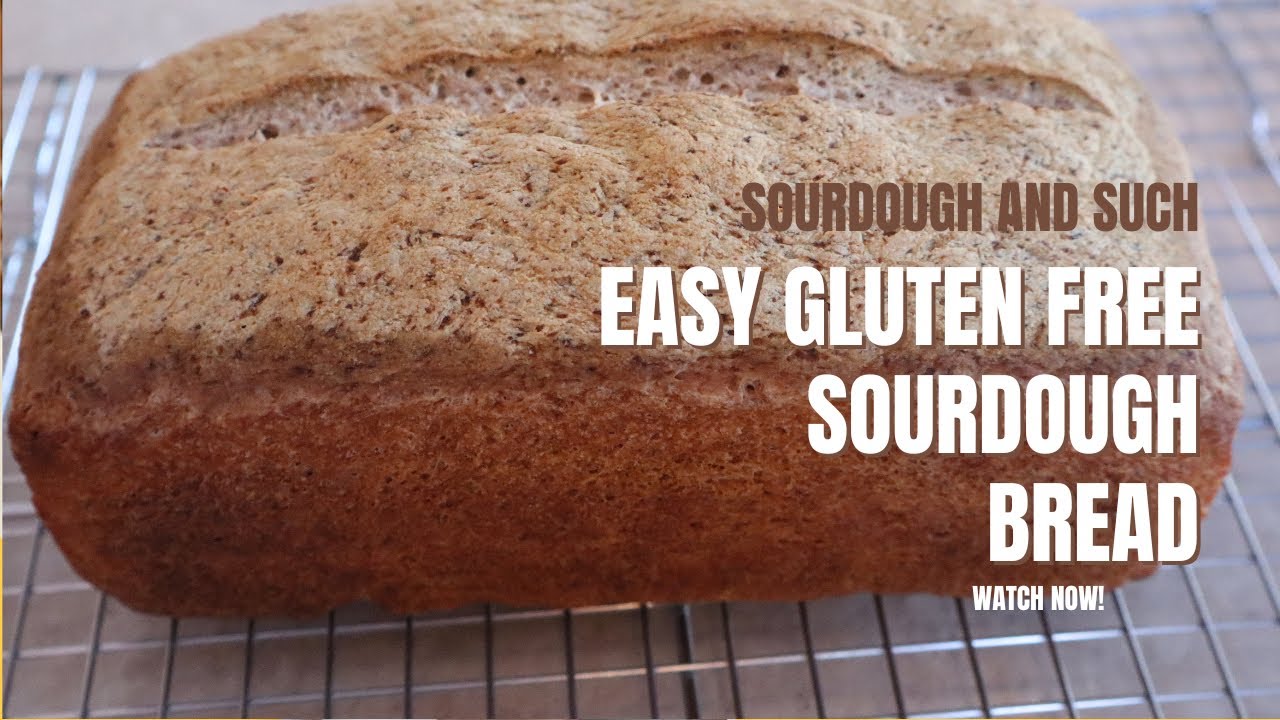 Easy Gluten Free Sourdough Sandwich Bread | Made in One day | No Dutch oven needed!!