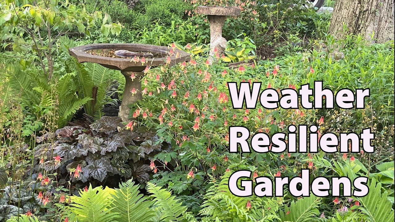 Weather-Resilient Gardening