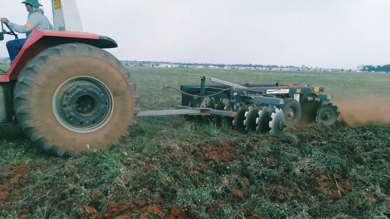 GRADEAÇÃO COM TRATOR 680 MF NA GRADE BALDAN