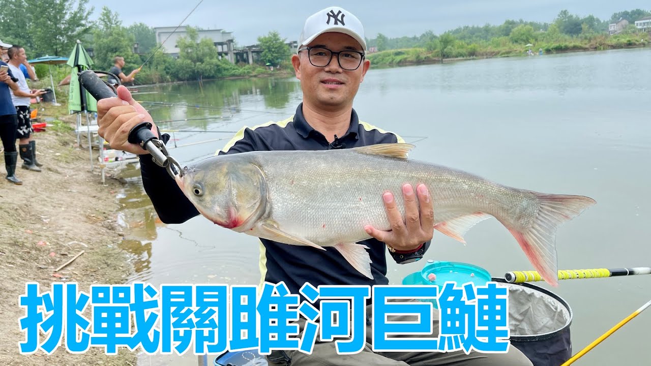 挑戰關雎河畔裡的巨鰱，魚太大，根本拉不動！ #天元鄧剛