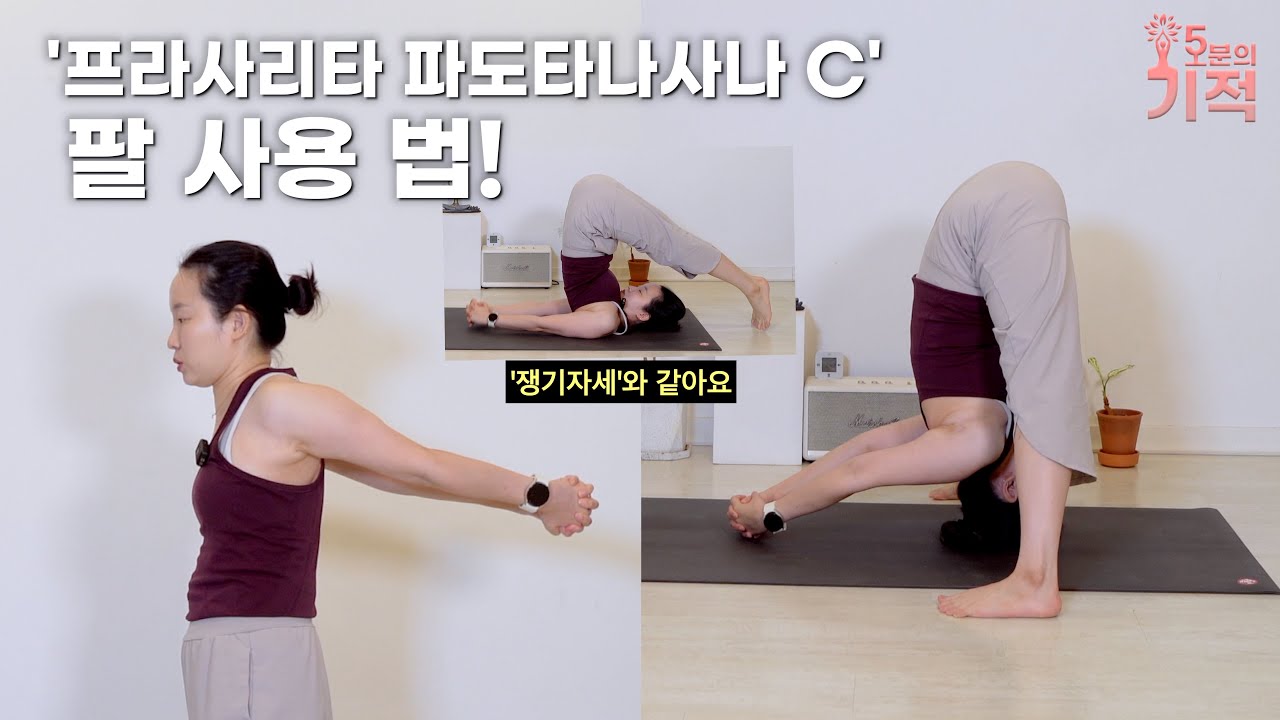 '프라사리타 파도타나사나C', 팔 사용법! [오분의 기적]