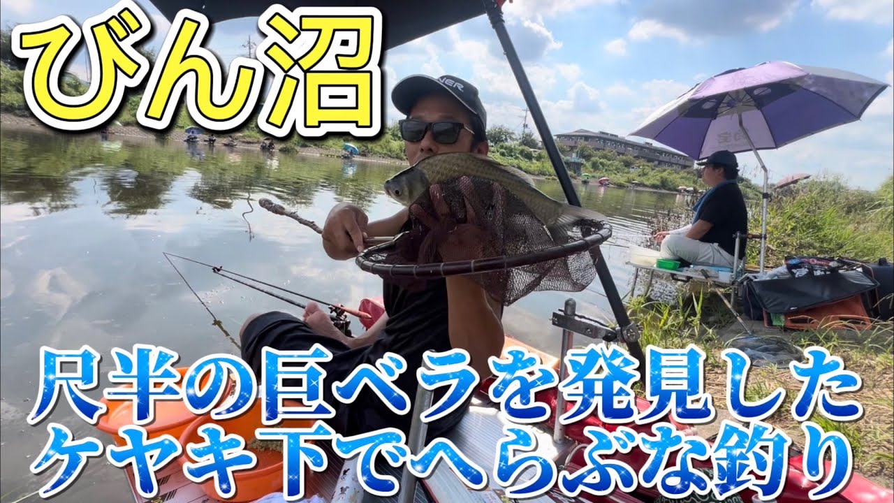 尺半の巨ベラをみつけたびん沼ケヤキ下でへらぶな釣り！釣具屋みずもでクルージャンのウキも格安で修理できて大満足！