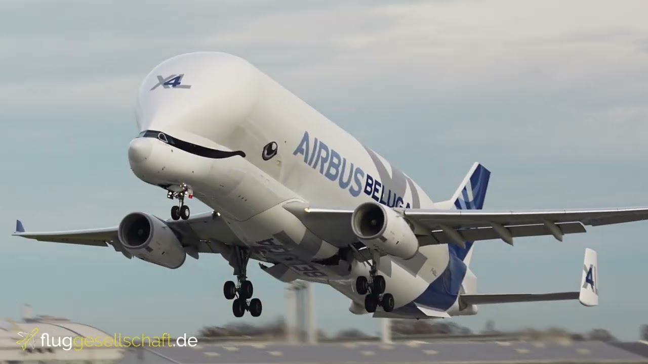 4K ✈️ (Sound-)Gigant BELUGA XL4 Hamburg-Finkenwerder XFW