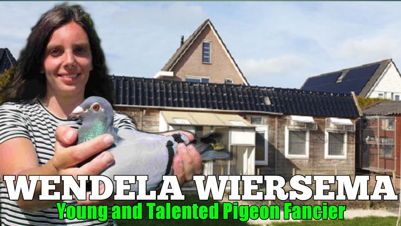 WENDELA WIERSEMA - National Championship Sprint Young Birds (NPO)