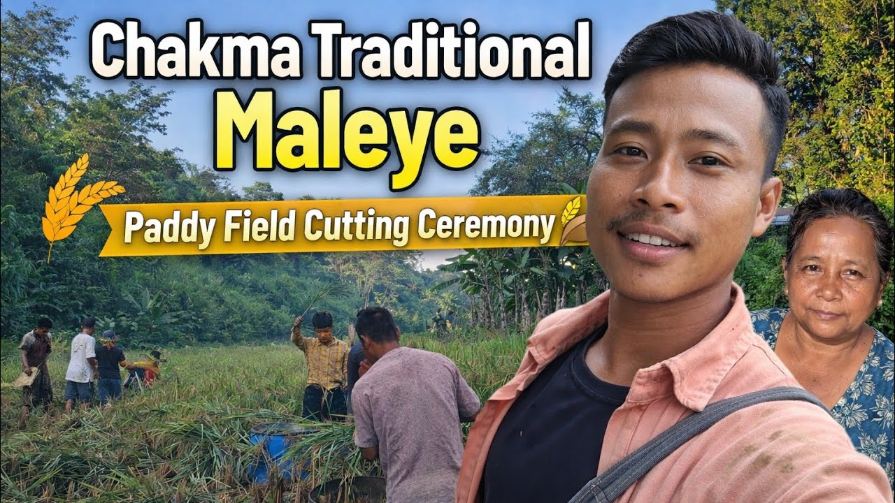 Chakma Traditional Maleye / Paddy Field Cutting Ceremony 🌾🥰”