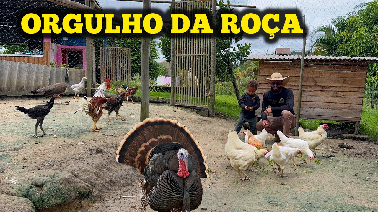 A Rotina Que Dá Orgulho na Vida na Roça 