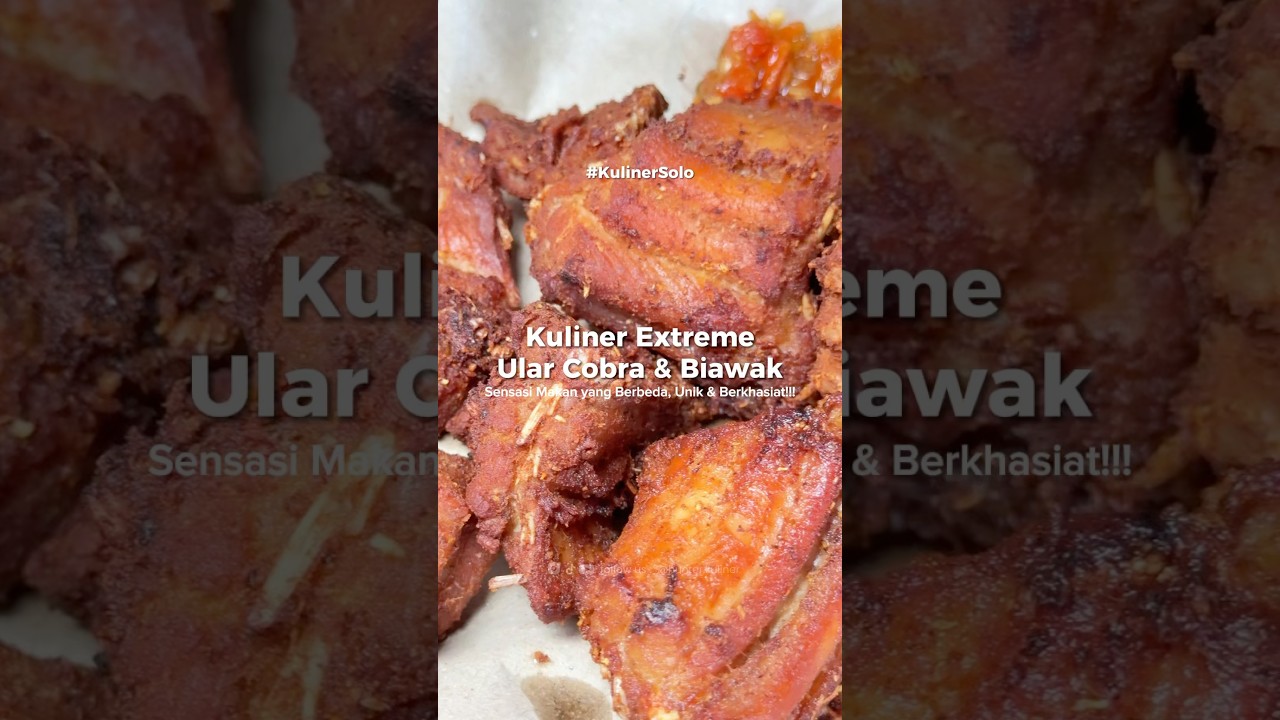 ‼️KULINER EXTREME ULAR COBRA & BIAWAK‼️#kuliner #kulinerextreme #ulargoreng #biawak #ularcobra #fyp