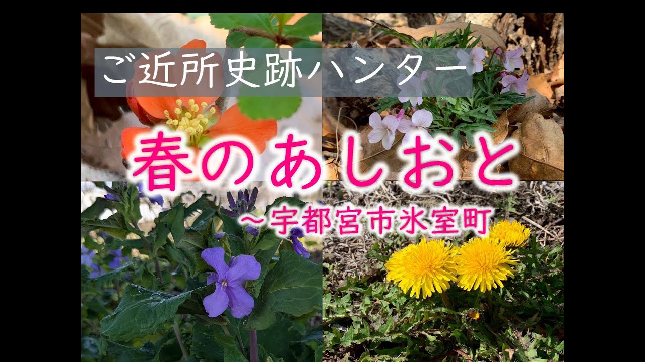 ご近所史跡ハンター　春のあしおと　～宇都宮市氷室町