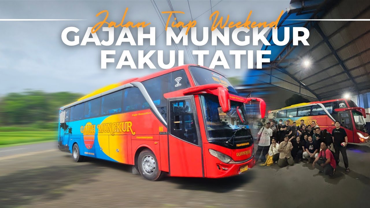 [ASMR] ANDALAN ROMBONGAN PJKA !! Nyobain Bus Legend dari Wonogiri PO GAJAH MUNGKUR