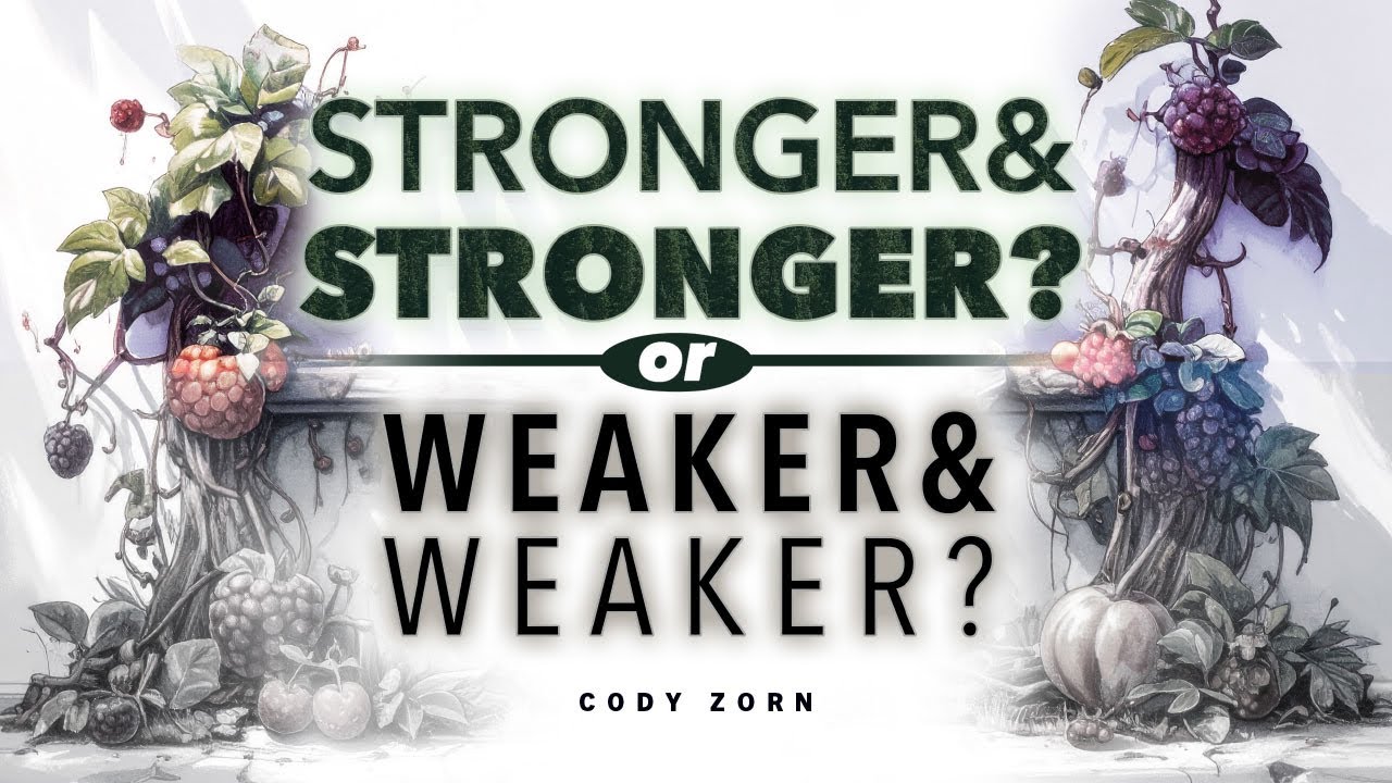 CODY ZORN - STRONGER & STRONGER OR WEAKER & WEAKER