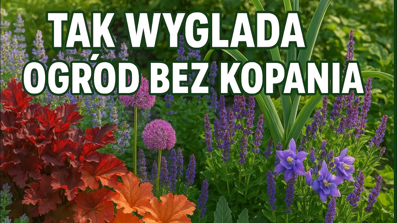 Rabata bez łopaty? Zobacz efekt WOW!