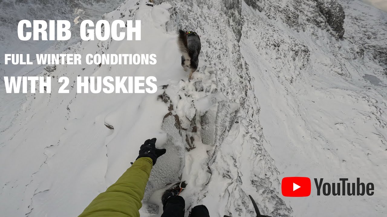 CRIB GOCH WINTER WITH 2 HUSKIES  - FULL 4K POV