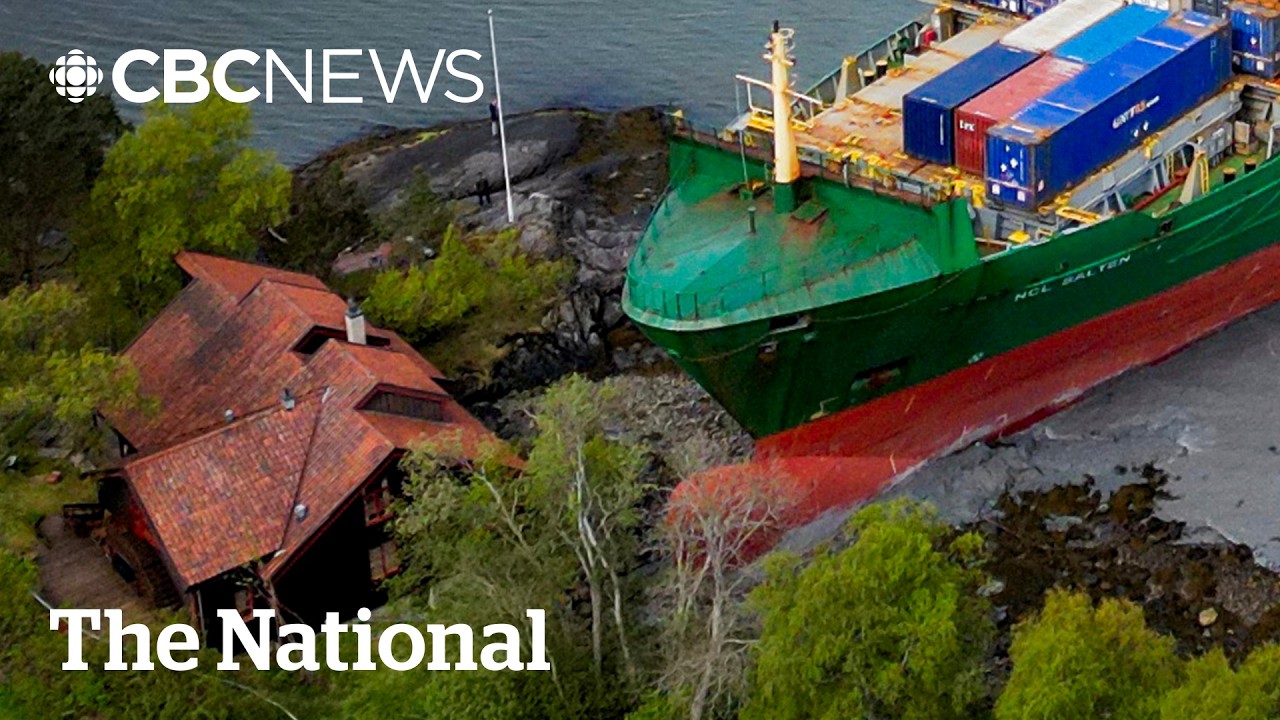 #TheMoment a Norwegian couple woke up to a cargo ship on their lawn
