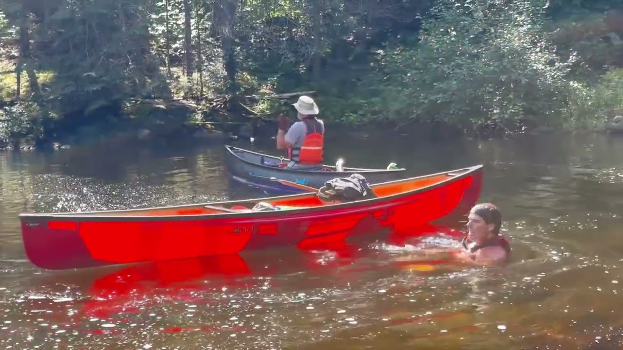 A Day in Algonquin Park with Bill & Friends
