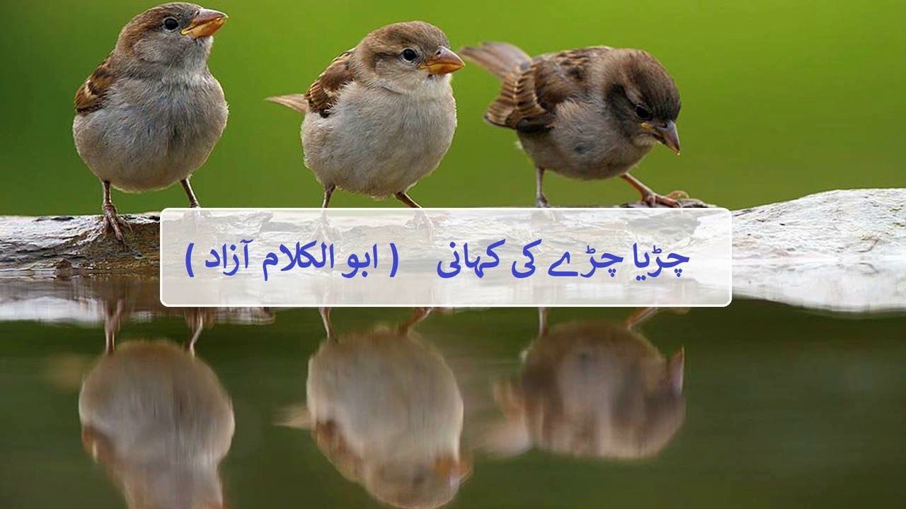 Chirya Chiray ki kahani - Molana Abul Kalam Azad - Ghubar e Khatir
