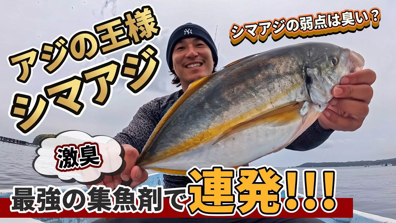 【シマアジ釣り④】串本カセ釣りで50㎝オーバーのシマアジGET!!!にんにくパワー炸裂‼︎