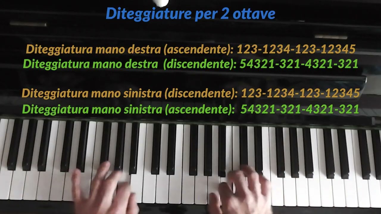 La scala di Mi minore per moto contrario (per principianti)