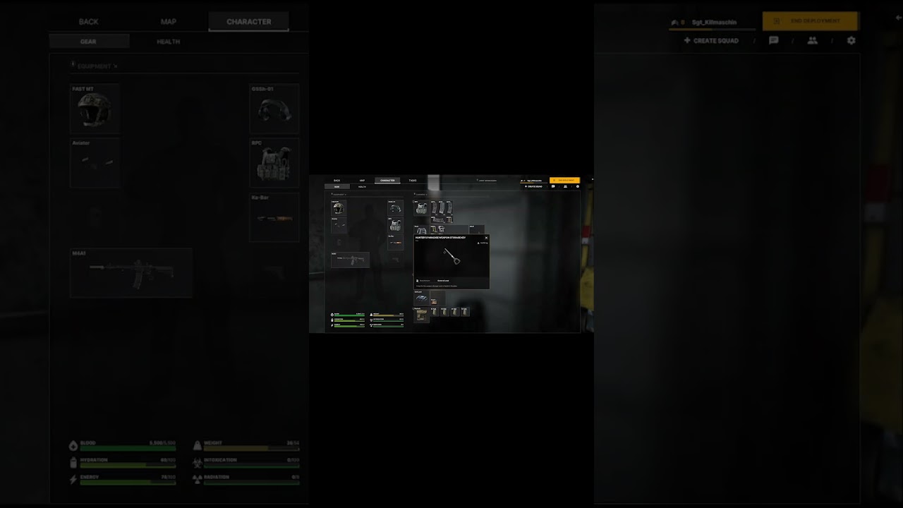 Gray Zone Warfare Task -  Guns & ammo by twitch.tv/sgt_killmaschin