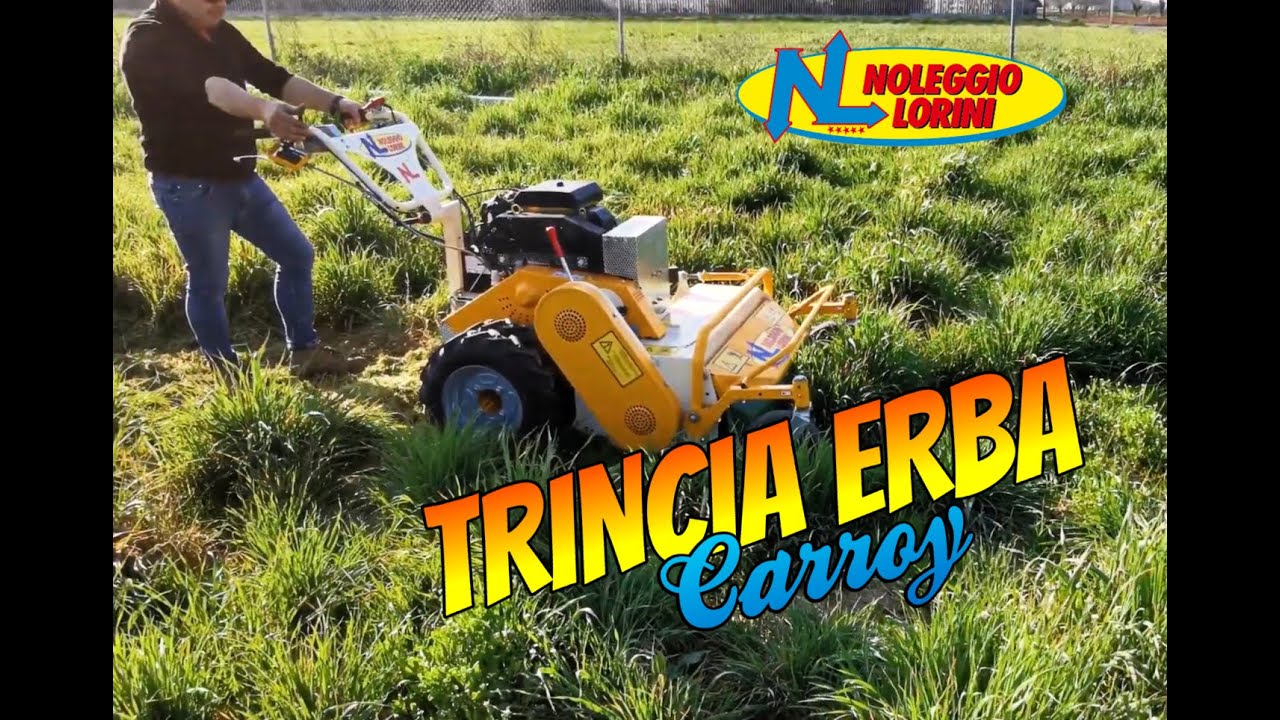 Trincia Erba Professionale a Tamburo Carroy - Noleggio Lorini